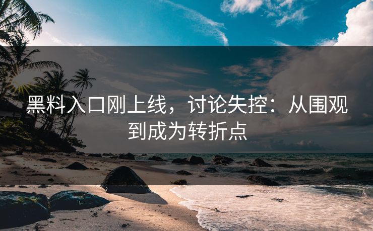 黑料入口刚上线，讨论失控：从围观到成为转折点