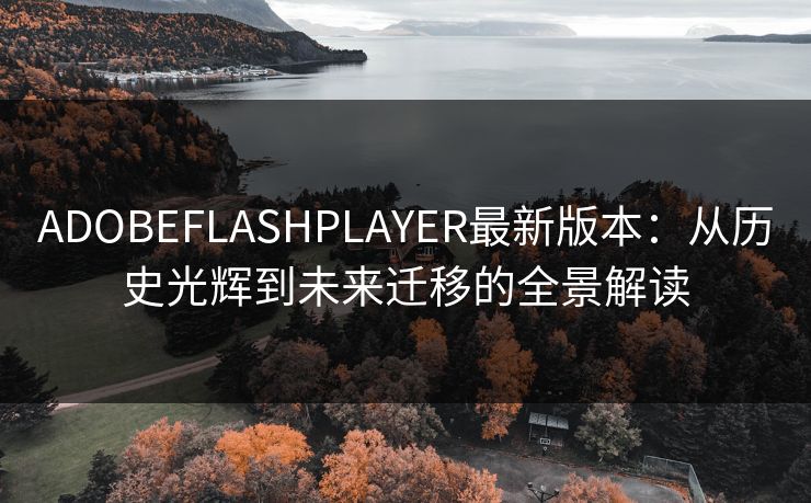 ADOBEFLASHPLAYER最新版本：从历史光辉到未来迁移的全景解读
